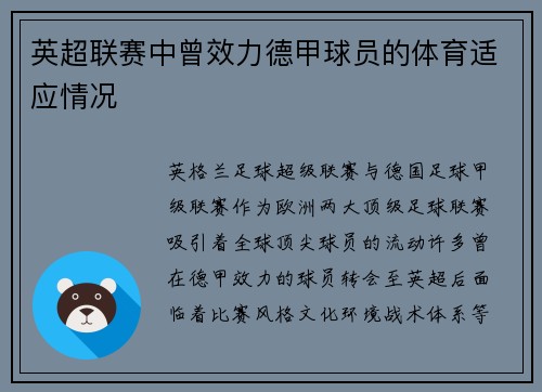 英超联赛中曾效力德甲球员的体育适应情况